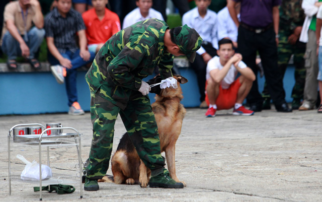 Xem chó nghiệp vụ tìm ma túy, đánh hơi người ở Thủ đô - 7
