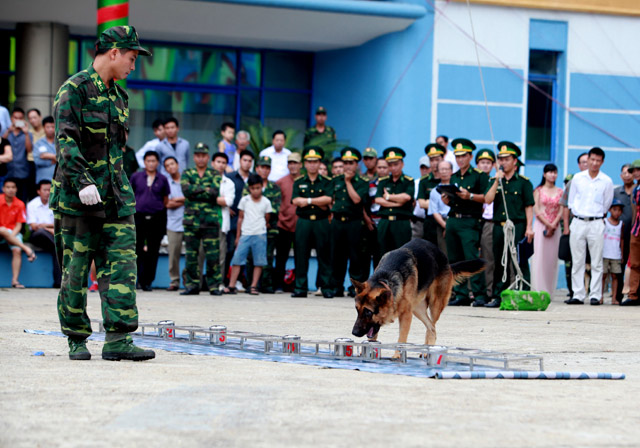 Xem chó nghiệp vụ tìm ma túy, đánh hơi người ở Thủ đô - 8