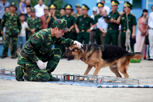 Xem chó nghiệp vụ tìm ma túy, đánh hơi người ở Thủ đô - 9