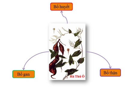 Nhận biết thuốc kích thích mọc tóc an toàn và hiệu quả - 2