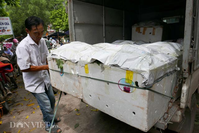 Tấp nập chợ na lớn nhất miền Bắc dài cả cây số - 6