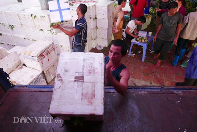 Tấp nập chợ na lớn nhất miền Bắc dài cả cây số - 7