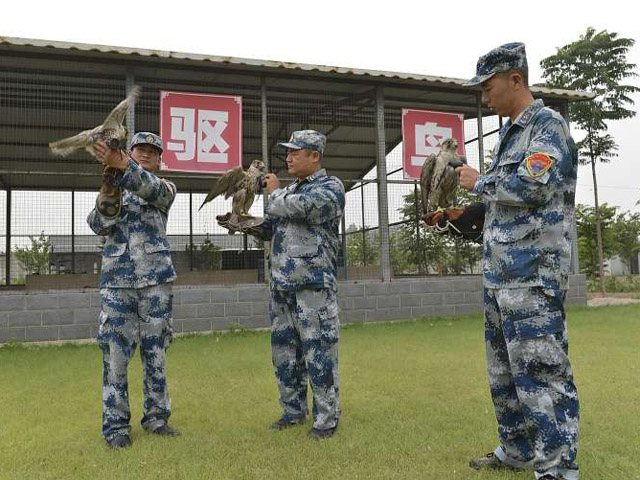 Trung Quốc huấn luyện khỉ, chim ưng bảo vệ lễ diễu binh - 1