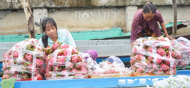 Rộn ràng chợ nổi Ngã Năm - 12