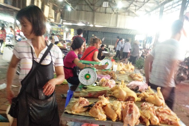 Sau gà Mỹ, gà Thái Lan lại “chèn ép” gà nội - 1