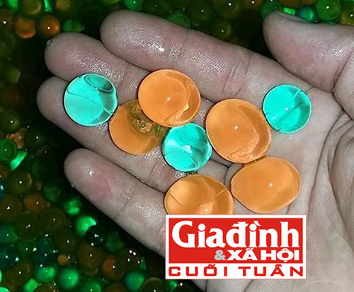 Cảnh giác loại hạt nở cực độc từng khiến hàng chục học sinh nhập viện - 2