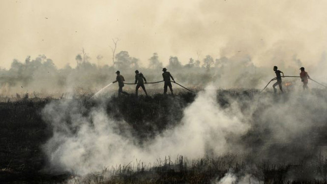 Cháy rừng ở Indonesia khiến hàng nghìn người Malaysia, Singapore ngã bệnh - 1