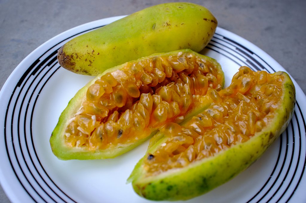 Mục sở thị chanh leo hình chuối độc đáo - 2