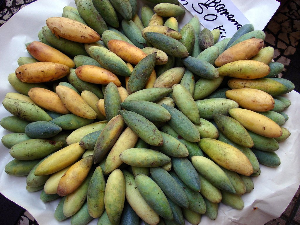 Mục sở thị chanh leo hình chuối độc đáo - 8