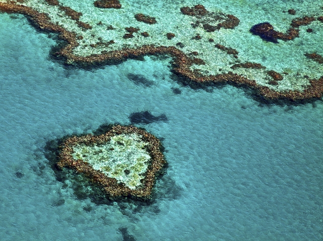 Great Barrier Reef là rặng san hô lớn nhất thế giới, dài khoảng 2300km, nằm ở ngoài khơi quần đảo Whitsunday. Nhìn từ trực thăng, rặng san hô có hình trái tim tuyệt đẹp.