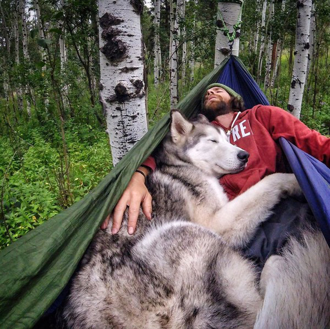 Mới đây, hình ảnh chàng trai ngủ cùng chó cưng trên võng giữa rừng vô cùng đáng yêu nhận được sự quan tâm từ cộng đồng mạng.