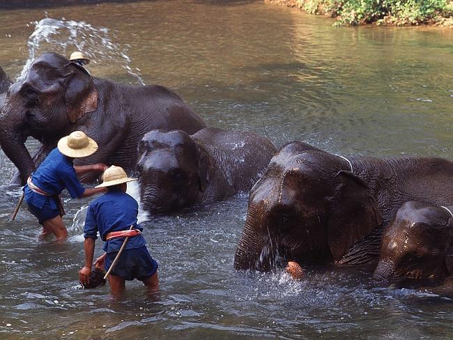 1. Thị trấn Lampang.

Bạn có thể ghé vào Lampang khi đến Chiang Mai và đây là địa điểm du lịch Thái Lan hấp dẫn nhưng thường bị bỏ qua. Lampang các ngôi đền Phật giáo ấn tượng, nhiều quán bar, nhà hàng ven sông và đặc biệt là trung tâm bảo tồn voi trong đó có cả các chú voi con dễ thương.