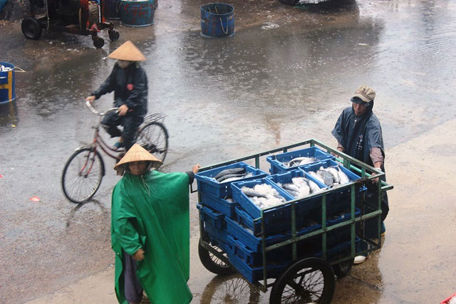 Hối hả tránh trú, chuẩn bị trước giờ bão đổ bộ - 26