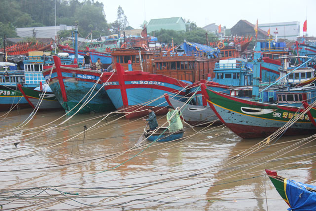Hối hả tránh trú, chuẩn bị trước giờ bão đổ bộ - 10