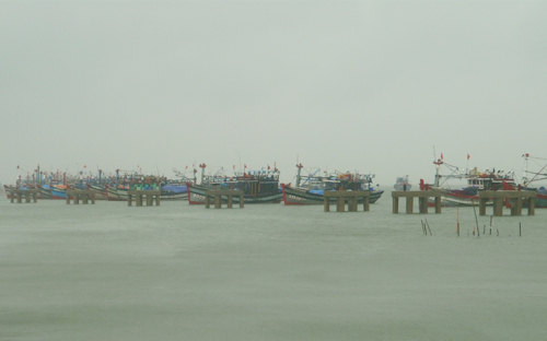 Bão số 3 suy yếu thành áp thấp nhiệt đới - 13