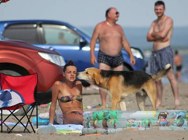 "Ngả nghiêng" với những hình ảnh hài hước"khó đỡ" - 8