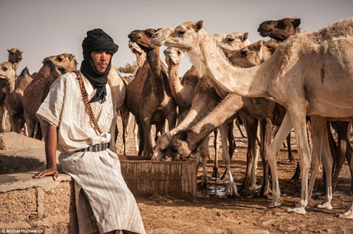 Bí ẩn "kho báu" sách nằm giữa sa mạc Sahara - 11