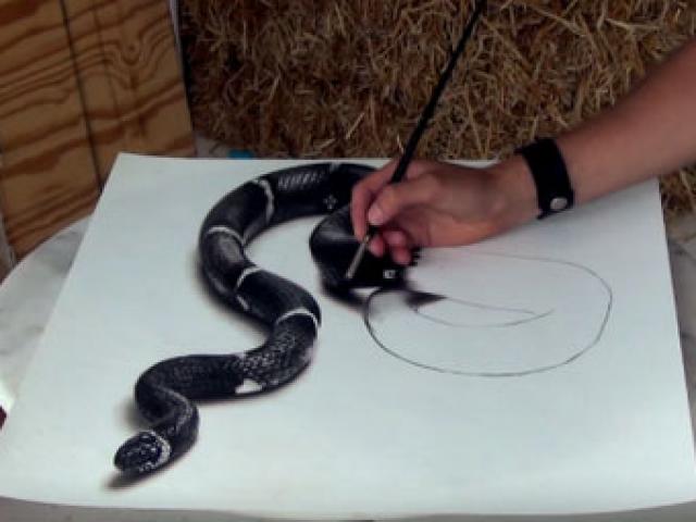 Tranh 3D sống động rắn: Hãy trải nghiệm sự sống động của một chú rắn với bức tranh 3D này. Bạn sẽ cảm nhận được sự sát thủ, uy lực của loài rắn thông qua các chi tiết đầy tinh tế. Hãy sẵn sàng cho một hành trình phiêu lưu trong thế giới của rắn!