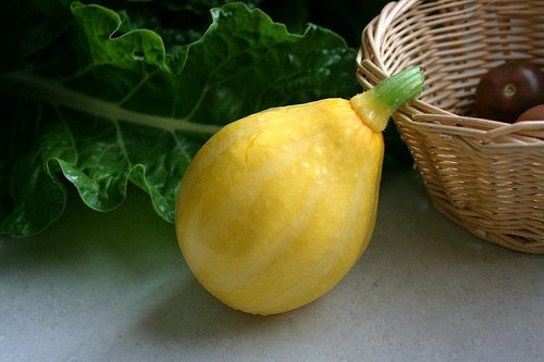 Bí đao chanh siêu lạ được chị em lùng mua - 10