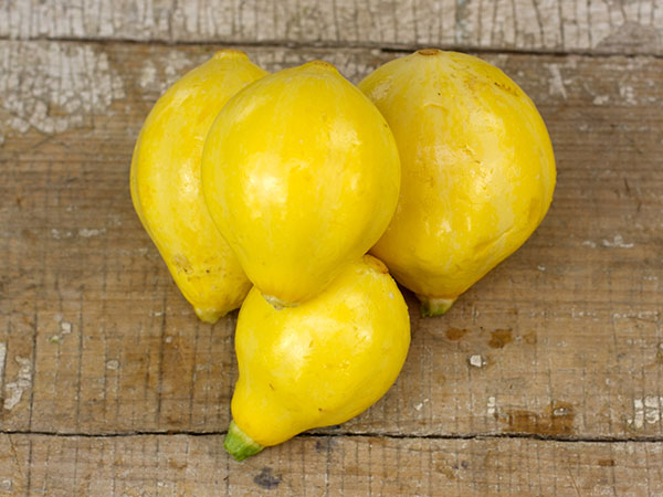 Bí đao chanh siêu lạ được chị em lùng mua - 3