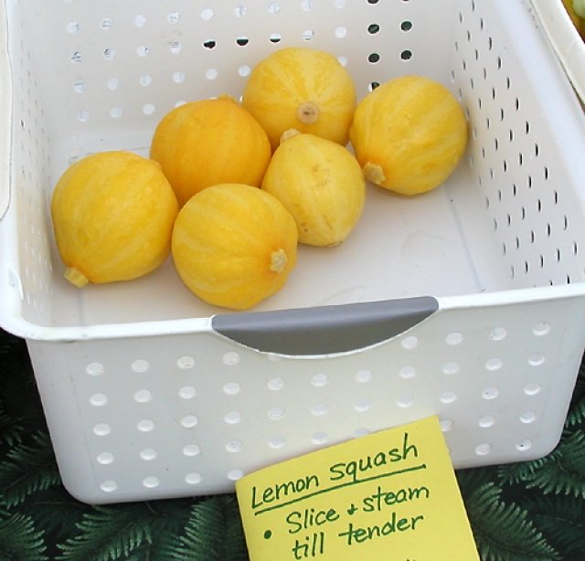 Bí đao chanh siêu lạ được chị em lùng mua - 6