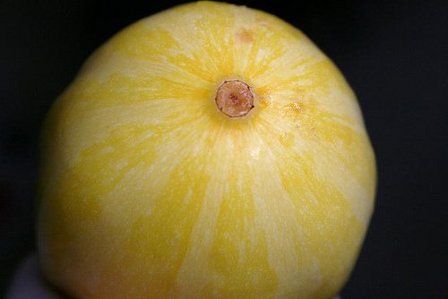 Bí đao chanh siêu lạ được chị em lùng mua - 8