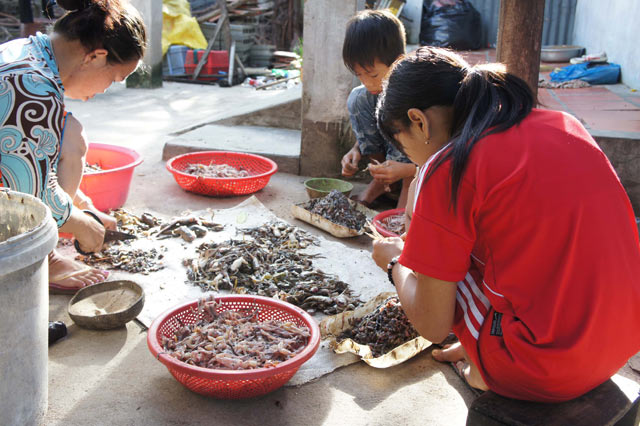 Quy trình đưa “vũ nữ chân dài” miền Tây lên bàn nhậu - 4