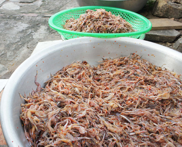 Quy trình đưa “vũ nữ chân dài” miền Tây lên bàn nhậu - 6