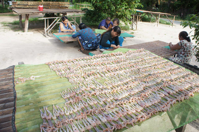 Quy trình đưa “vũ nữ chân dài” miền Tây lên bàn nhậu - 7