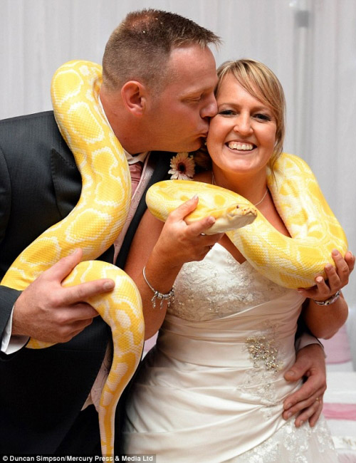 Lễ cưới hoành tráng với khách mời là động vật hoang dã - 2