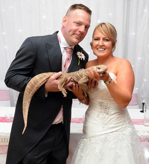 Lễ cưới hoành tráng với khách mời là động vật hoang dã - 4