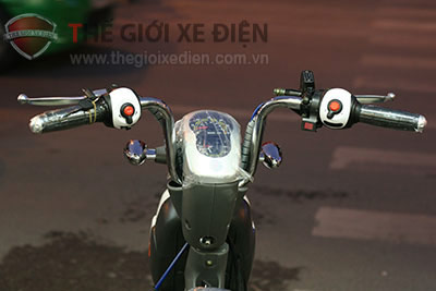 Mệt mỏi vì mua phải xe đạp điện giả - 3