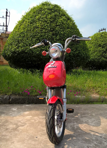 Mệt mỏi vì mua phải xe đạp điện giả - 4