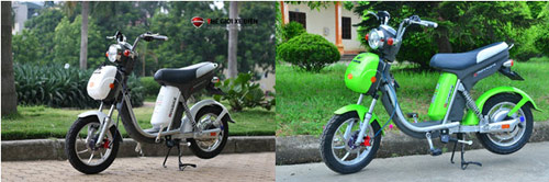 Mệt mỏi vì mua phải xe đạp điện giả - 1