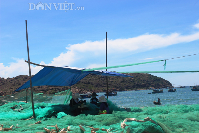 Chùm ảnh: Đẹp bình yên nơi biển Nhơn Hải - 10