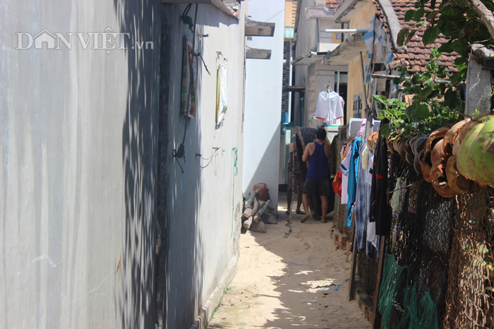 Chùm ảnh: Đẹp bình yên nơi biển Nhơn Hải - 9