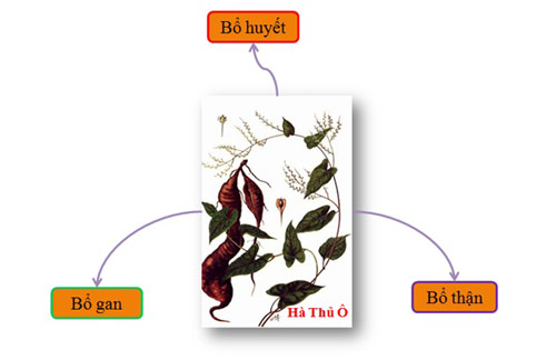 Rụng tóc do di truyền có chữa khỏi hoàn toàn được không? - 3
