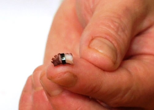 Những kiểu ăn uống độc, dị nhất thế giới - 3