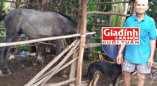 "Vua ngựa" dắt vợ con sống bám nghĩa trang - 1