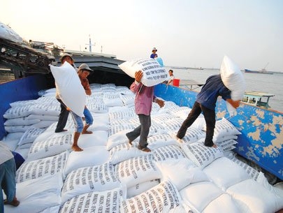 Philippines sẽ mua 450.000 tấn gạo Việt Nam - 1