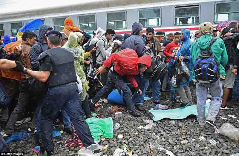 Di dân hồ hởi vì Hungary mở lại biên giới với Serbia - 7