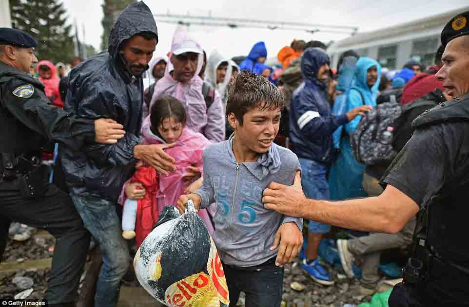Di dân hồ hởi vì Hungary mở lại biên giới với Serbia - 8