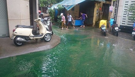 Thủ phạm gây nguồn nước xanh kỳ lạ ở Hà Nội - 1