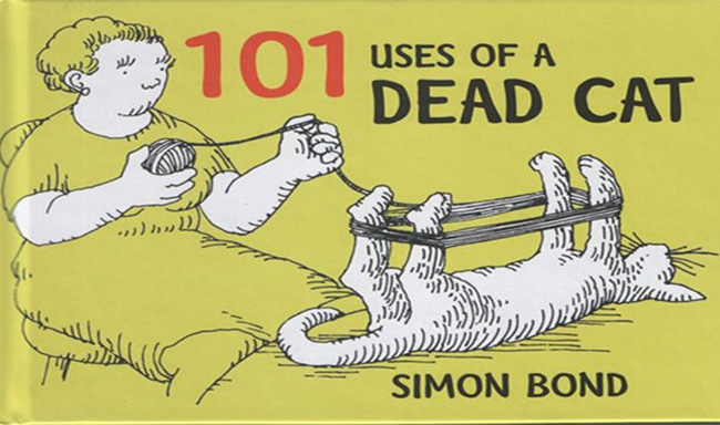 Cuốn sách có tên "101 cách sử dụng...mèo chết" sẽ khiến bạn sởn da gà.