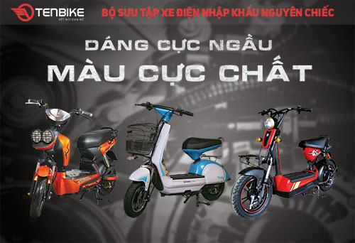 Xe đạp điện Tenbike Nijia