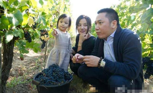 4 mỹ nhân "Hoàn Châu Cách Cách" giàu sang quyền quý - 4