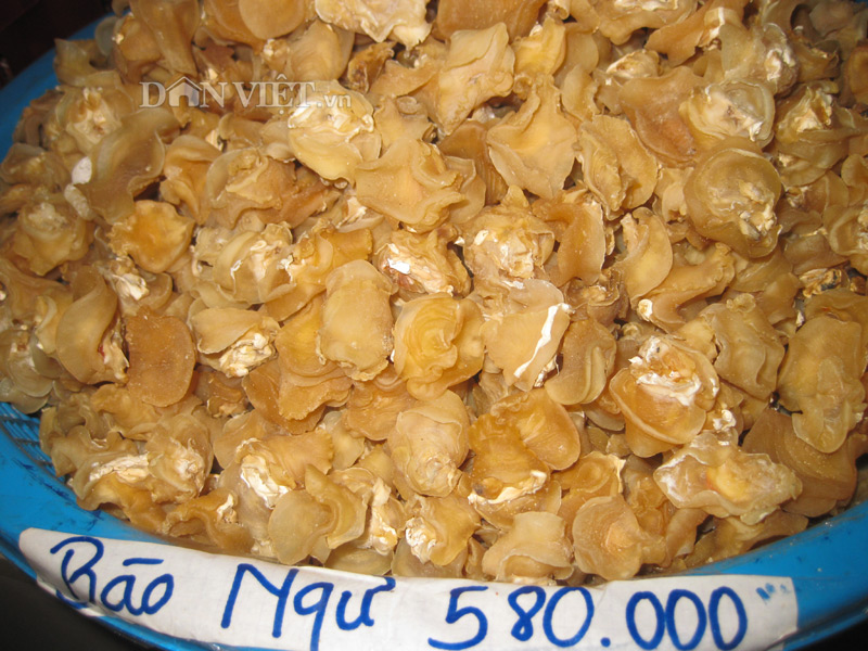 Bào ngư Phú Quốc - món đặc sản không thể chối từ - 2