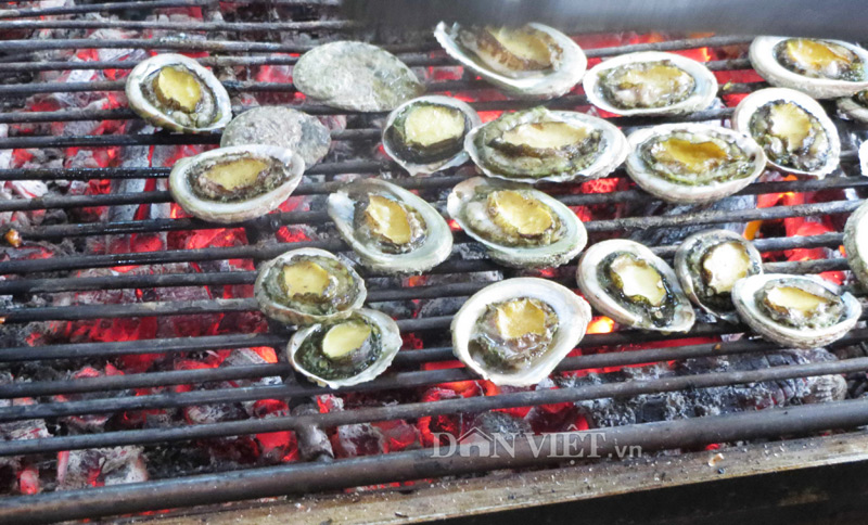 Bào ngư Phú Quốc - món đặc sản không thể chối từ - 3