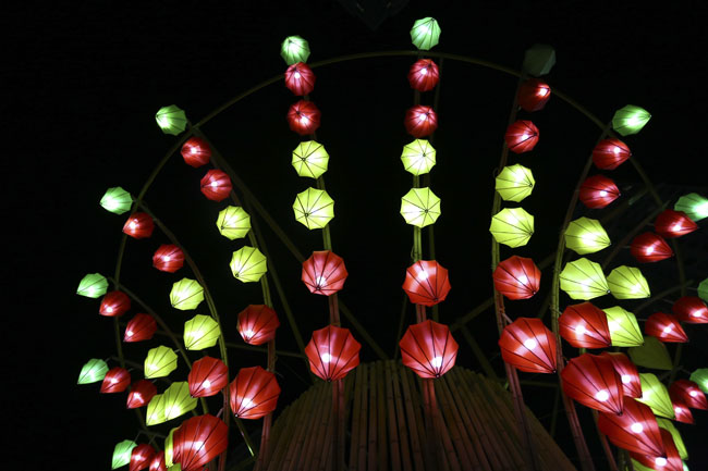 Ngắm khu vườn cổ tích bằng đèn lồng lớn nhất Việt Nam - 2