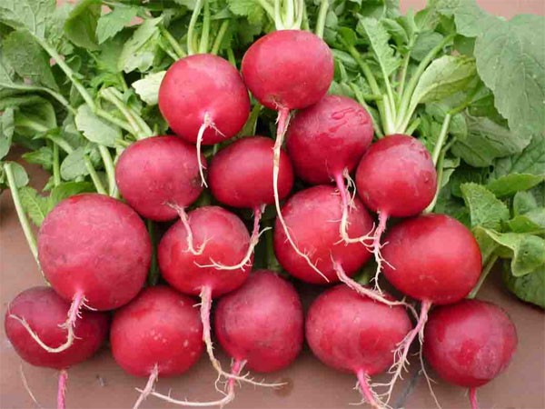 Người mới ốm dậy ăn gì để phục hồi sức khỏe? - 3